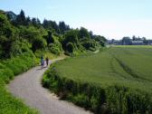  Blick auf den Wanderweg nach Hausleiten 