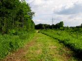  Wanderroute am Rande der Traisenau 