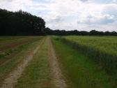  Wanderweg auf der Anhhe "Hhnerbhel" 