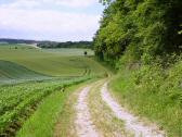  Blick auf die Wanderroute 