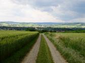  Wanderweg nach St. Andr a.d.Traisen 