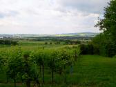  Fernblick nach Herzogenburg 