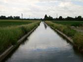  Blick auf den Traisenkanal (Mhlgraben) bei St. Andr a.d. Traisen