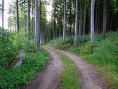  Wanderroute auf schnen Waldwegen 