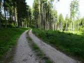  Wanderroute auf schnen Waldwegen 