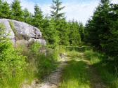  Wanderroute auf schnen Waldwegen 