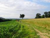  Blick auf die Wanderstrecke 