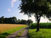  Blick auf die Wanderstrecke 