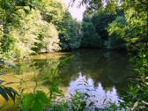  idyllischer Teich 