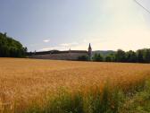  nochmals der Blick zum Meierhof (Schloss Weichselbach)  