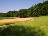  Wanderstrecke durch Reith bei Weichselbach 