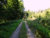  Wanderroute durch den Wald des Hiesbergs 