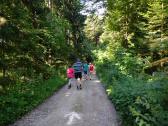  Wanderroute durch den Wald des Hiesbergs 