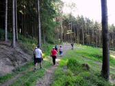  Wanderroute durch den Wald des Hiesbergs 