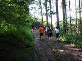  Wanderroute durch den Wald des Hiesbergs 