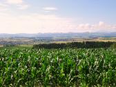  schner Fernblick nach St. Leonhard am Forst 