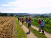  Blick auf die Wanderstrecke nach Reith bei Vornholz 