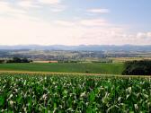  schner Fernblick nach St. Leonhard am Forst 