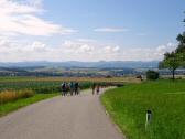  Blick auf die Wanderstrecke bei Reith bei Vornholz 