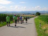  Blick auf die Wanderstrecke bei Reith bei Vornholz 