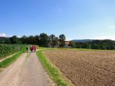  Blick auf die Wanderstrecke bei Reith bei Vornholz 