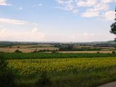  nochmals der schne Fernblick Richtung Ziersdorf 