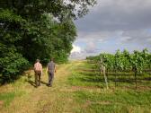  Wanderweg auf dem Jungberg 