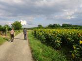  Wanderroute auf dem Jungberg 