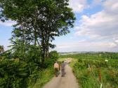  Wanderroute auf dem Jungberg 