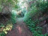  Wanderroute durch einen Graben im Gutenbrunner Wald 