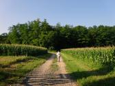  Wanderweg zum Grasberg 