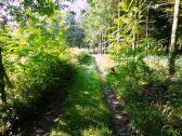  Wanderroute durch den Wald des Grasberg 