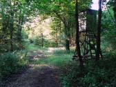  Wanderroute durch den Wald des Grasberg 