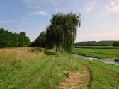  Wanderweg entlang der Perschling 