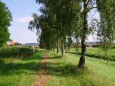  Wanderweg entlang der Perschling 