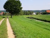  Wanderweg entlang der Perschling 