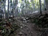  Blick auf die Wanderstrecke - bergan zum Peilstein 