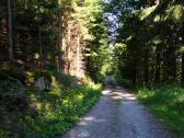  Wanderroute auf der Forststrae 