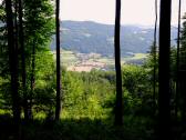  Blick ins Yspertal 