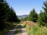  Wanderroute auf der Forststrae 