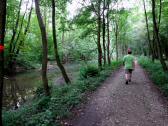  Wanderweg durch die Ybbsauen 