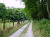  Blick auf die Wanderroute 