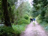  Wanderweg entlang der Ybbs 