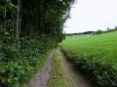  Blick auf die Wanderroute 