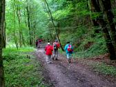  Wanderweg zur Ybbs 