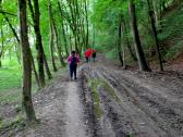  Wanderweg zur Ybbs 