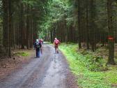 Wanderroute auf dem Mitterweg Richtung Wildhuser 