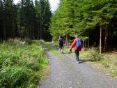  Wanderroute auf schnen Waldwegen 