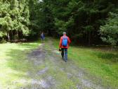  Wanderroute auf schnen Waldwegen 