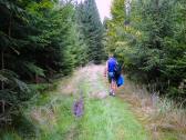  Wanderroute auf schnen Waldwegen 